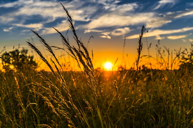 夕方って何時から何時まで 業界によって違うので一覧にしてみたよ スウィッチ