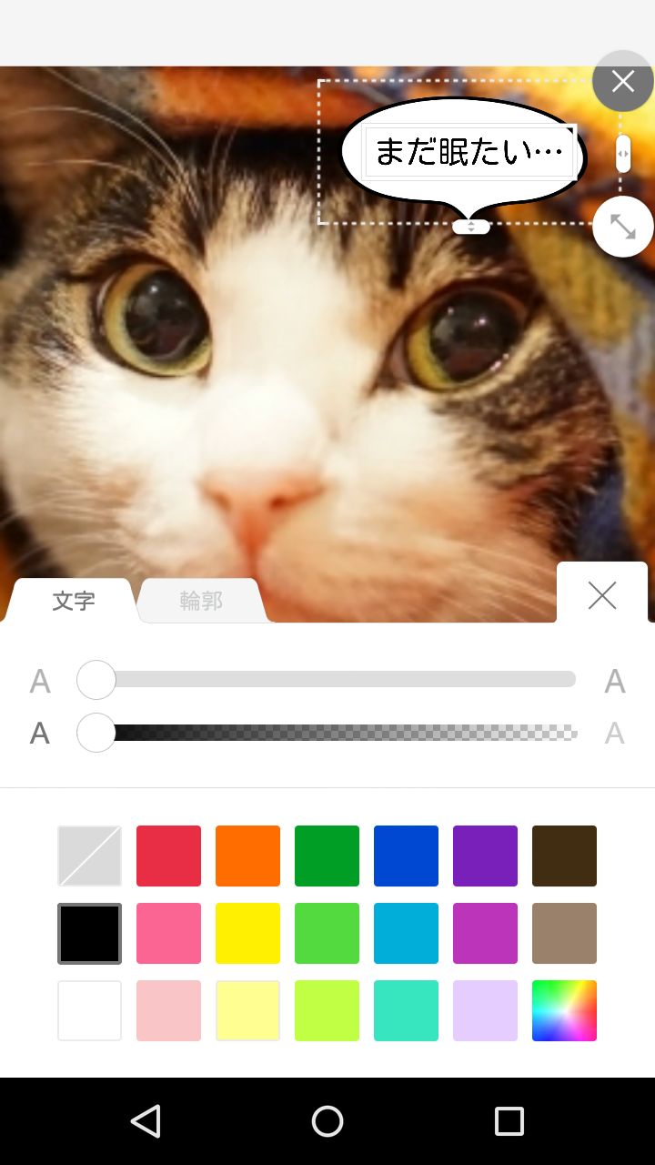 写真の吹き出し加工のやり方 Lineカメラを使った方法を画像で分かりやすく紹介 スウィッチ