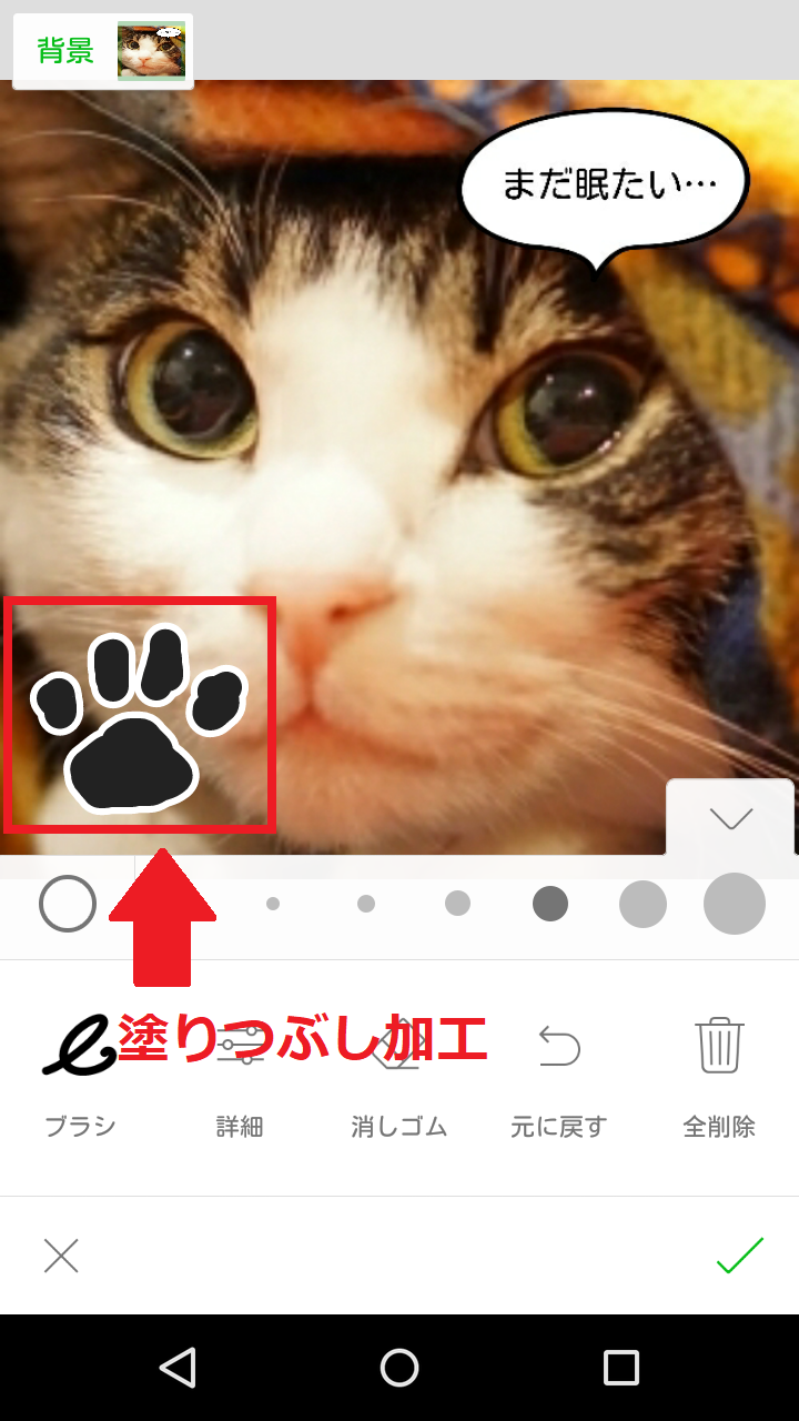 写真の塗りつぶしならLINEカメラで！やり方を画像でわかりやすく説明 